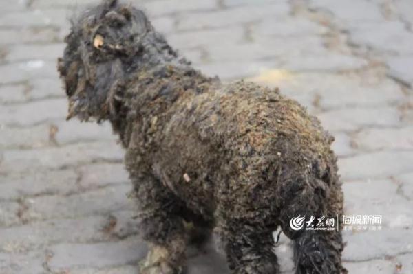 突發(fā)！青島一居民樓發(fā)生爆燃！已造1人死亡，7人受傷！3公里外有震感…