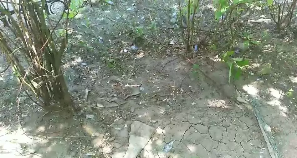 今晨，大慶經(jīng)五街2-41號樓二單元一樓發(fā)生燃氣爆炸！